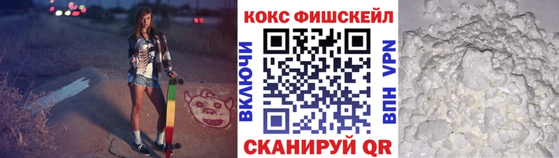 Купить где  Невьянск  COCAIN Fish Scale 