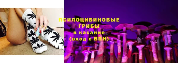 прущие грибы Богородск