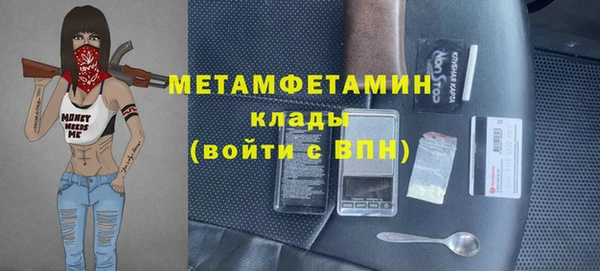 прущие грибы Богородск