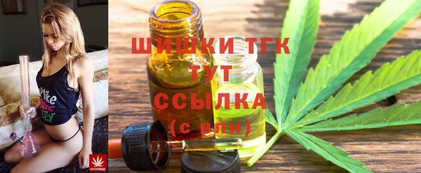 прущие грибы Богородск