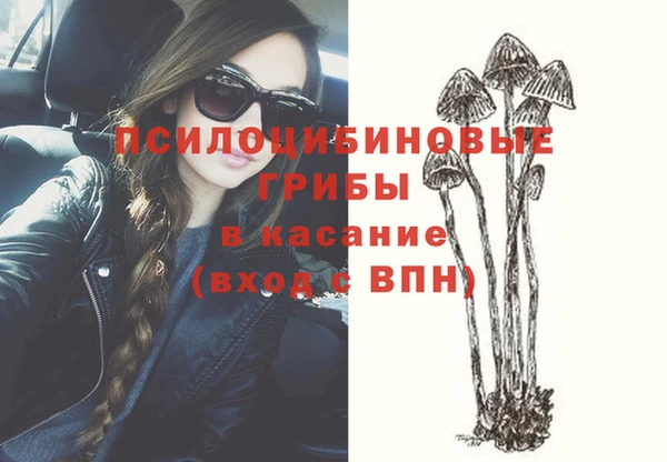 а пвп мука Богородицк