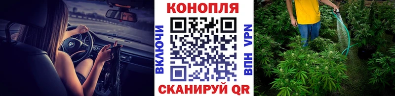 Купить  Невьянск  Бошки Шишки White Widow 